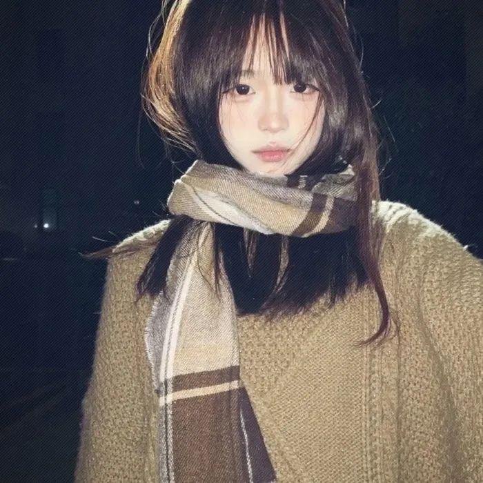 少林与咏春粤语